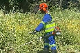grass-cutting by a one man