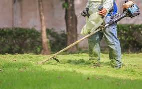 A man cutting grass with a grass cutting machine