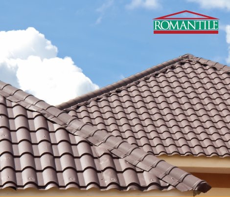 Two iron sheet roofs